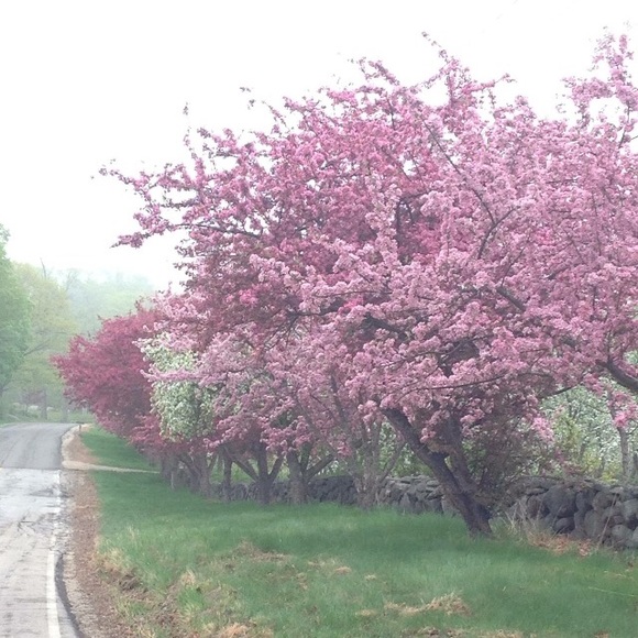 Follow Game, Like, Follow, Share, Repeat" - Picture 6 of 8